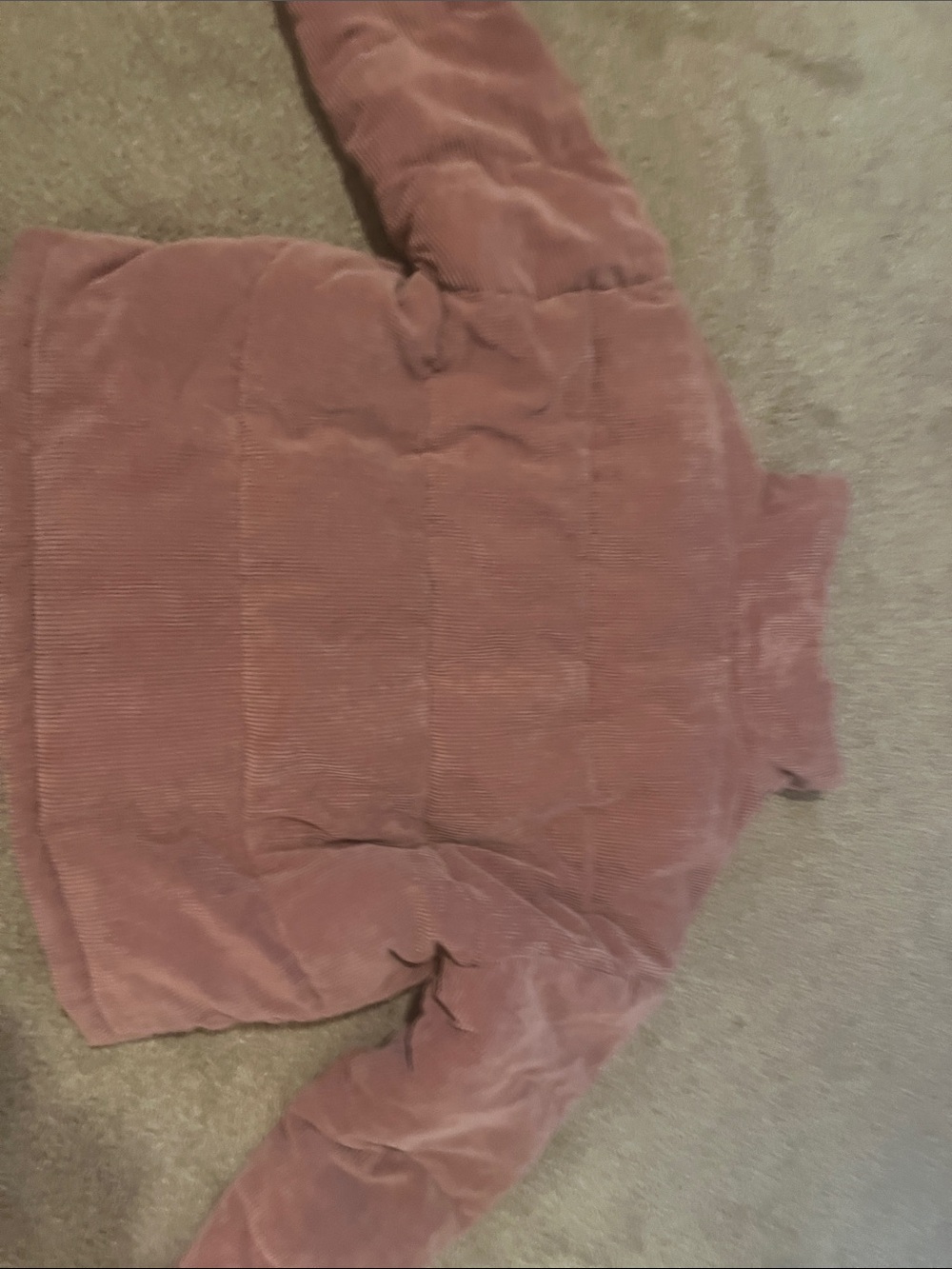 Pink Velvet Zip-Up Jacket - Picture 4 of 4